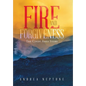 Fire and Forgiveness: The Cindy Ames Story - Hardcover