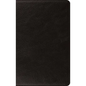 ESV Large Print Thinline Bible (Black) - Leather