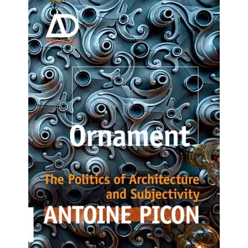Ornament: The Politics of Architecture and Subjectivity - Paperback