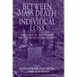 Between Mass Death and Individual Loss: The Place of the Dead in Twentieth-Century Germany - Paperback