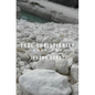 True Christianity: Book Two - Paperback