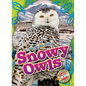 Snowy Owls - Library Binding