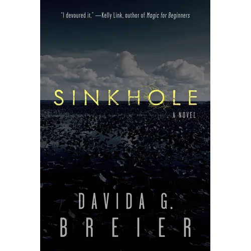 Sinkhole - Paperback