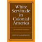 White Servitude in Colonial America - Paperback
