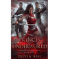 Princes of the Underworld: a Steamy Romantic Urban Fantasy - Paperback