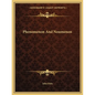 Phenomenon and Noumenon - Paperback