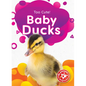 Baby Ducks - Library Binding