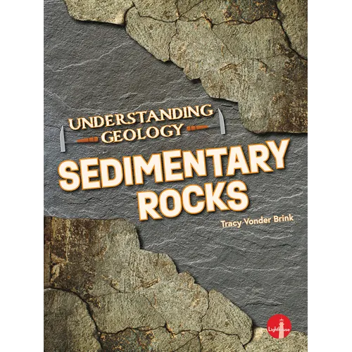 Sedimentary Rocks - Paperback