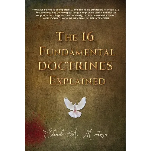 The 16 Fundamental Doctrines Explained - Paperback