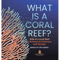 What is a Coral Reef? Role of a Coral Reef Functions of Cnidarians and Sponges Grade 6-8 Life Science - Hardcover