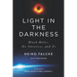 Light in the Darkness: Black Holes, the Universe, and Us - Paperback