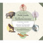 The Artist's Field Guide to Yellowstone: A Natural History by Greater Yellowstone's Artists and Writers - Paperback