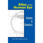 Atlas of the Human Eye: Anatomy & Biometrics - Hardcover