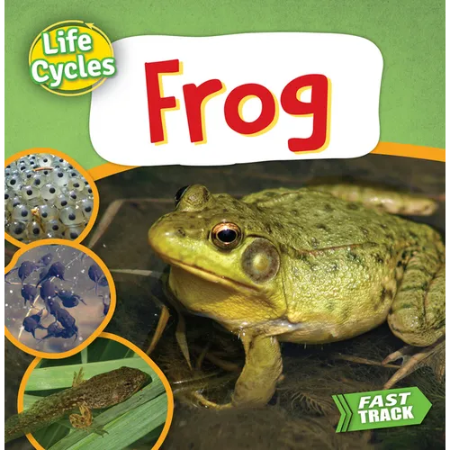 Frog - Paperback