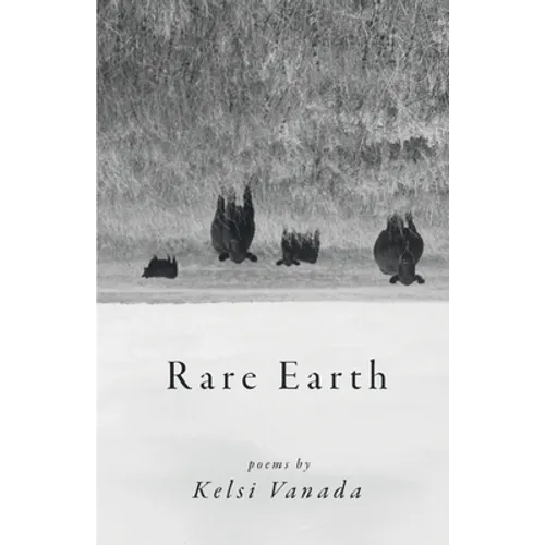 Rare Earth - Paperback
