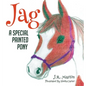 Jag: A Special Painted Pony - Hardcover