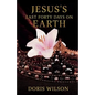 Jesus's Last Forty Days on Earth - Paperback