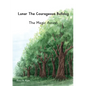 The Magic Forest - Paperback