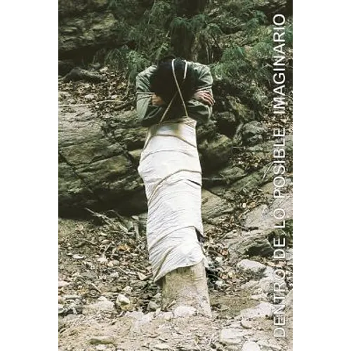 Dentro de lo posible imaginario - Paperback