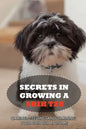 Secrets In Growing A Shih Tzu: Caring, Feeding And Training Your Shih Tzu At Home: What You Will Need To Train Your Shih Tzu - Paperback