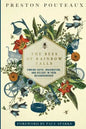 The Bees of Rainbow Falls: Finding Faith, Imagination, and Delight in Your Neighbourhood - Paperback