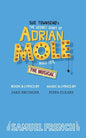 The Secret Diary of Adrian Mole Aged 13 - Paperback