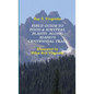 Field Guide to Food & Survival Plants Along Idaho's Centennial Trail - Paperback