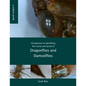 Introduction to identifying the exuvia and larvae of Dragonflies - Paperback