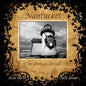 Nantucket Christmas Stroll - Paperback
