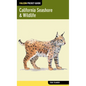 California Seashore & Wildlife - Paperback