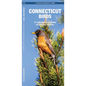 Connecticut Birds: A Folding Pocket Guide to Familiar Species