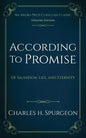 According to Promise: Of Salvation, Life, and Eternity - Paperback