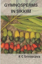 Gymnosperms in Sikkim - Paperback