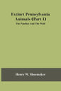 Extinct Pennsylvania Animals (Part I) The Panther And The Wolf - Paperback