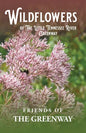 Wildflowers of The Little Tennessee River Greenway - Paperback
