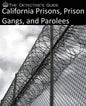 The Detective's Guide: California Prisons, Prison Gangs, and Parolees - Paperback