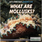 What Are Mollusks? - Library Binding