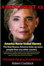 Amendment 13: America Never Ended Slavery - Paperback
