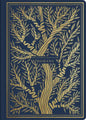 ESV Illuminated Scripture Journal: Romans - Paperback