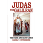 Judas the Galilean: The flesh and blood Jesus - Paperback