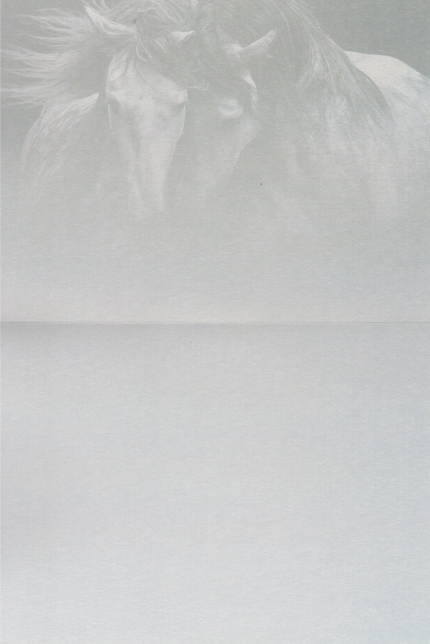 Kindred Spirits Greeting Card -  Blank Card