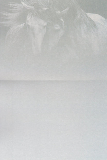 Kindred Spirits Greeting Card -  Blank Card