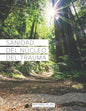 Sanidad del Núcleo Del Trauma - Paperback