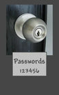 Passwords: 123456 - Paperback