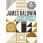 Everybody's Protest Novel: Essays - Hardcover