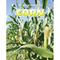Corn - Library Binding