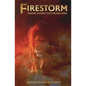 Firestorm: Taking Down the Strong Man - Paperback