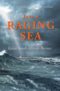 Into a Raging Sea: Great South African Rescues - Paperback