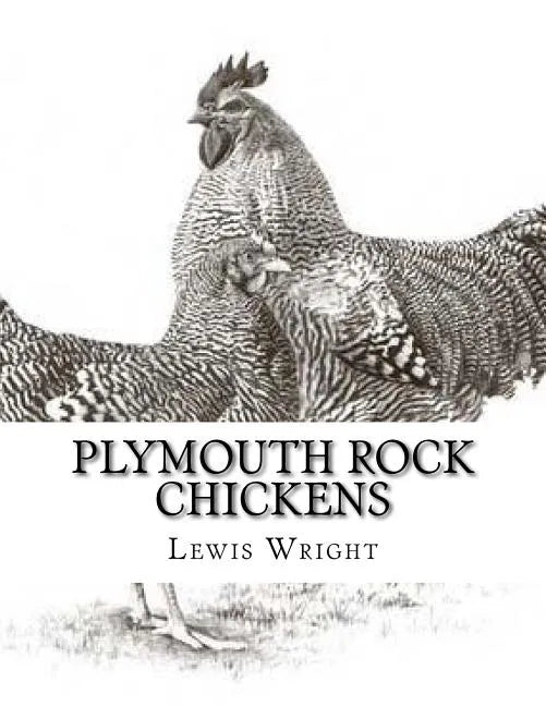 Plymouth Rock Chickens: From The Book of Poultry - Paperback