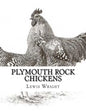 Plymouth Rock Chickens: From The Book of Poultry - Paperback